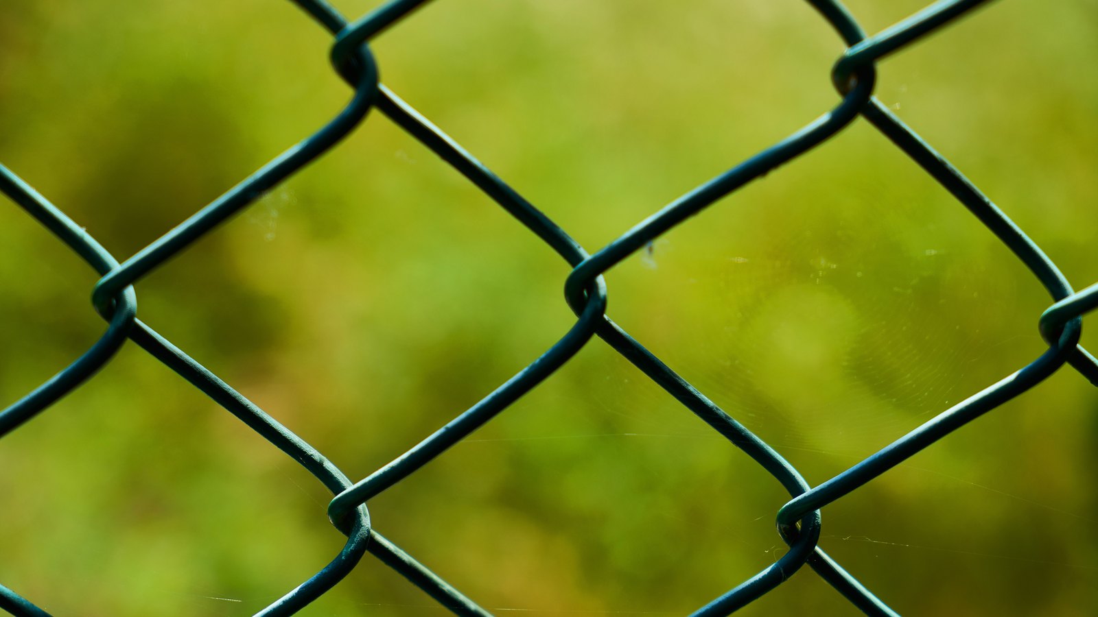 A close crop of a dark green chain link fence in sharp focus, its diamond mesh crossing the frame against an out of focus field of green and yellow grass behind, with no people, vehicles, signs or text in view.