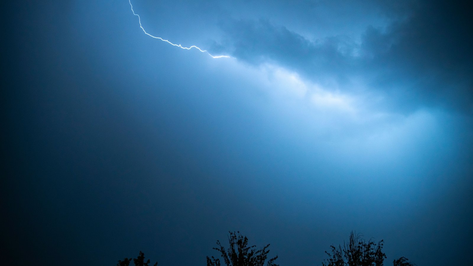 A single forked lightning bolt running across the upper left of a dark blue night sky, with the cloud behind it lit from within in pale blue and white, and the ragged silhouettes of two treetops along the bottom edge of the frame. No buildings, vehicles, people, signage or legible text are in the frame, and no location can be identified from it. A generic thunderstorm photograph used as a plain illustration, not a photograph of the Maple Avenue North house or of this fire.