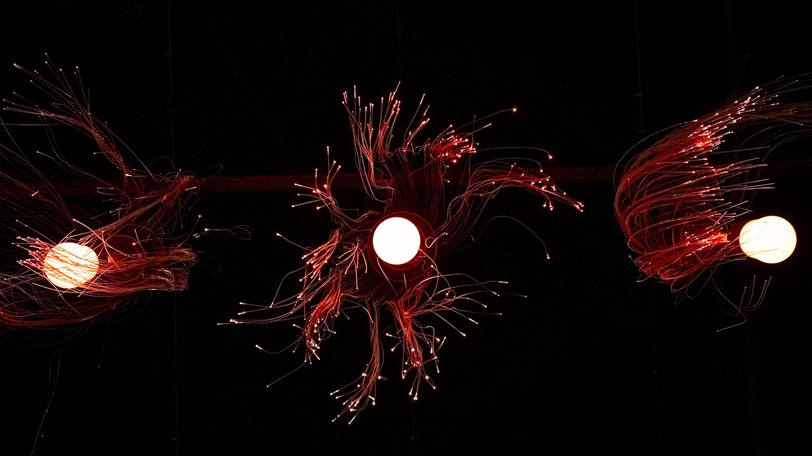 Three bundles of fibre optic strands lit red against a black background, each fanning out from a bright white point of light. No text or signage is visible. A generic illustration, not a photograph of Lehigh Acres.