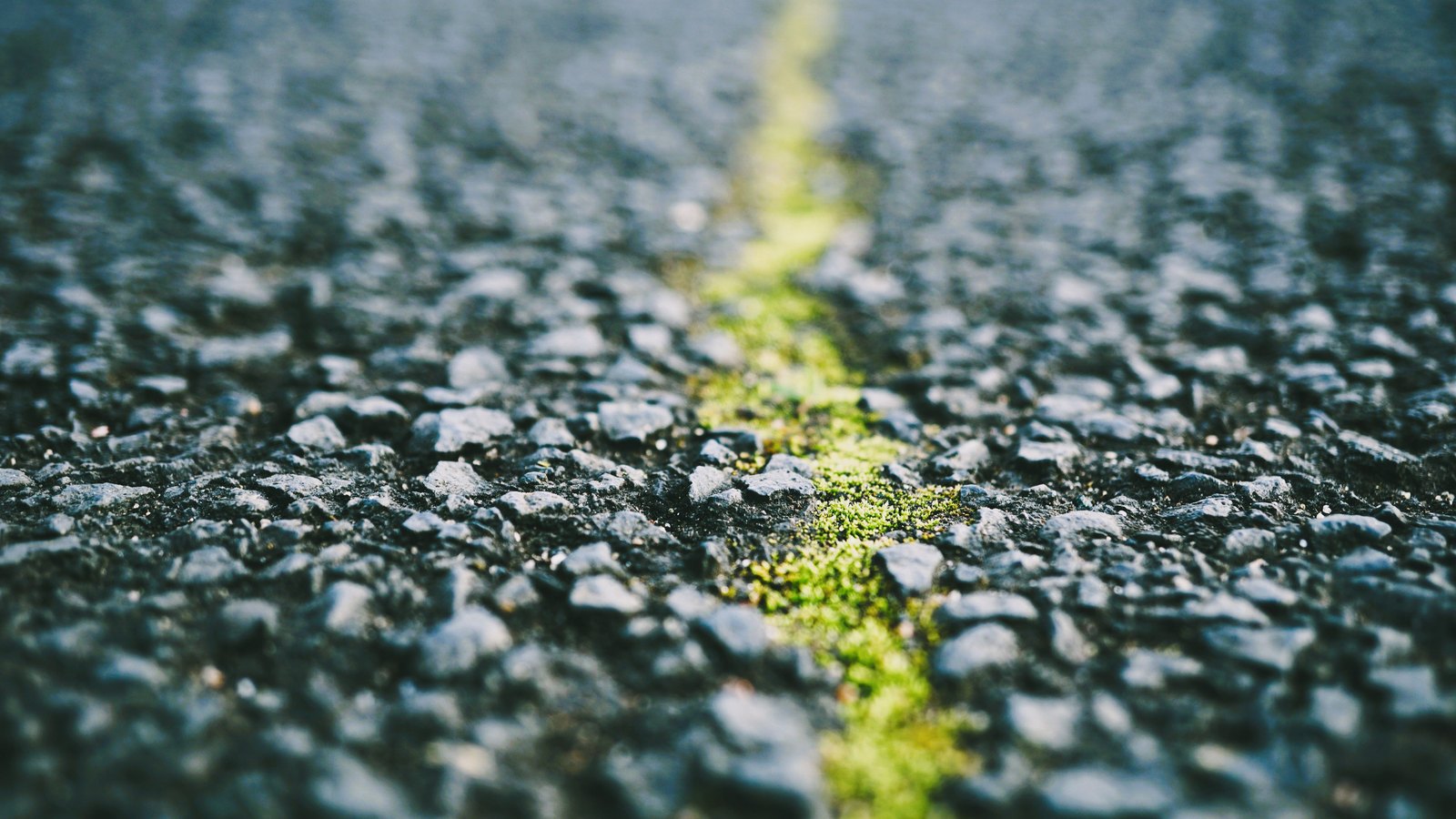 A ground level close up of coarse dark grey asphalt, with a narrow seam of bright green moss running away from the camera into shallow focus, and no people, vehicles, signs or text in view.