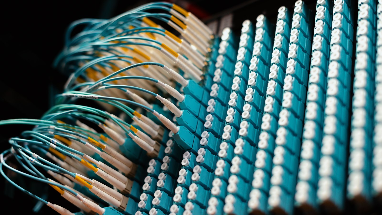 A photograph illustrating fibre optic patch panel.