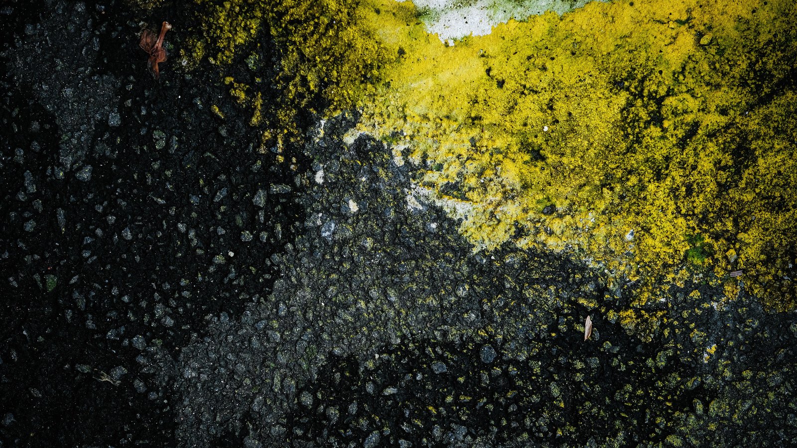 An overhead close crop of coarse dark asphalt, its aggregate clearly visible, with a band of worn yellow road paint running across the upper right corner and a faded pale marking beneath it. Two small dry leaves rest on the surface. No people, vehicles, signage, horizon or legible text are visible, and no place can be identified from it. Pexels titles it a textured urban surface with yellow and black contrast. An abstract road surface used as a plain illustration, not a photograph of Livingston Road, of Naples or of this crash.