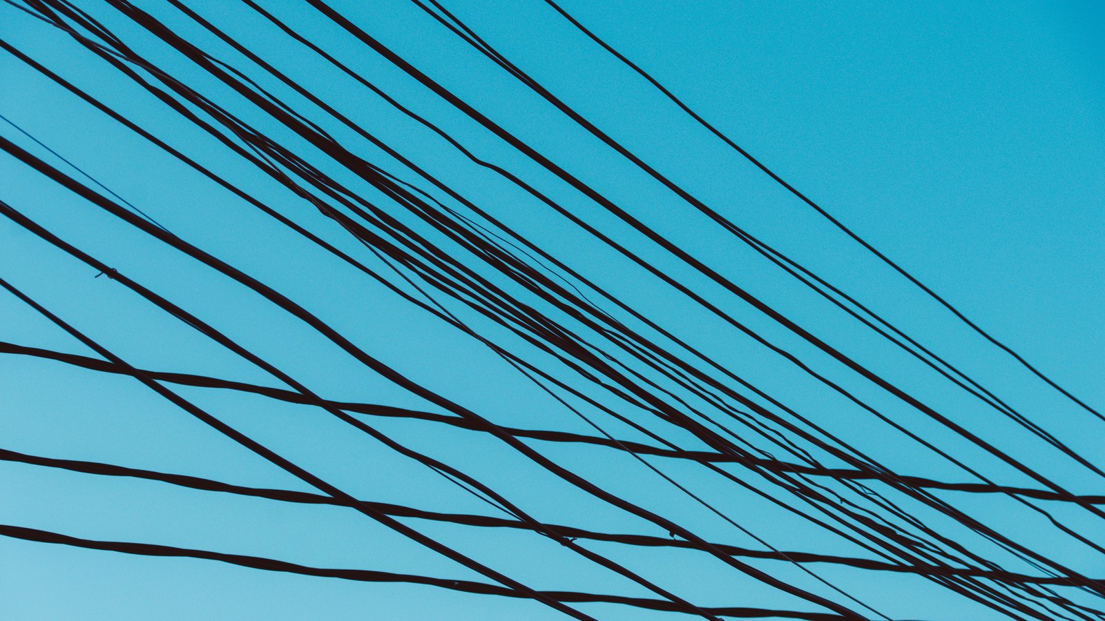 A dozen dark electrical cables running diagonally across a flat turquoise sky, crossing one another at shallow angles, with nothing else in the frame. No pole, no building, no vehicle, no person, no signage and nothing identifying a place. A generic photograph of overhead lines, not a picture of Bald Eagle Drive or of the line in this story.
