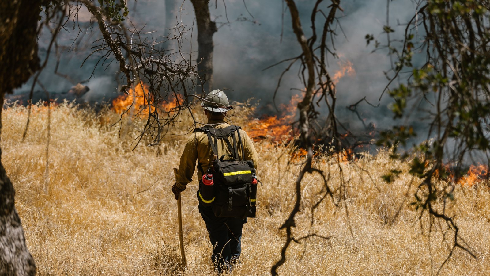 A single wildland firefighter in tan Nomex and a white helmet, seen from behind with a line pack on his shoulders and a hand tool in his right hand, walking through waist-high dry grass toward a low line of flame creeping under scattered oak trees, with grey smoke drifting through the branches. No face, no legible department or agency name, no vehicle, no address, no plate and no identifiable place appears in the frame. A stock photograph, not a photograph of this event.
