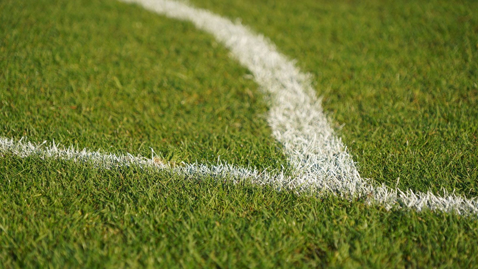 A close photograph of a mown green grass sports field, with two white painted boundary lines meeting at an angle and running out of frame. The turf fills the whole picture and the far edge is thrown out of focus. No people, buildings, equipment, signage, lettering or brand marks are visible, and no place or school can be identified from it. A generic illustration of a playing field, not a photograph of Mariner High School.