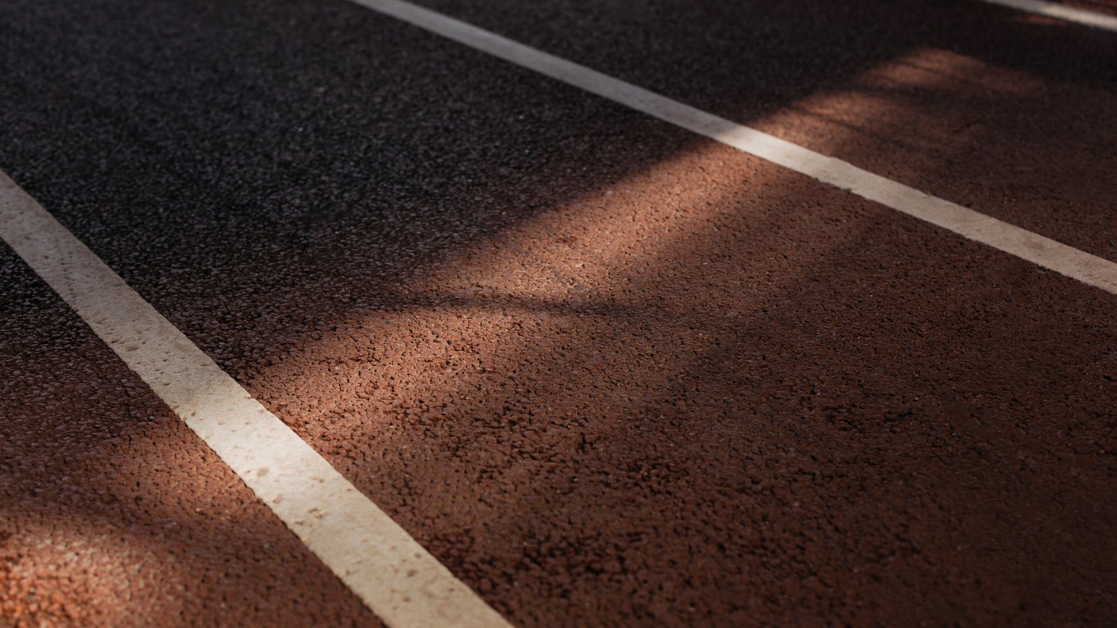 White lane markings cross a sunlit asphalt road.
