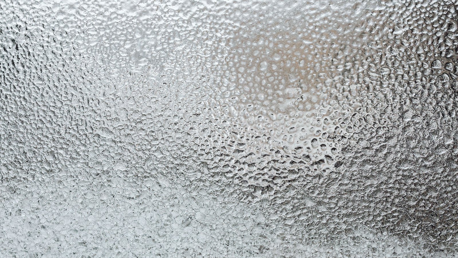A close photograph of a pane of glass covered in fine condensation droplets, the light behind it diffused to a pale blur, with no text, people or setting in view.