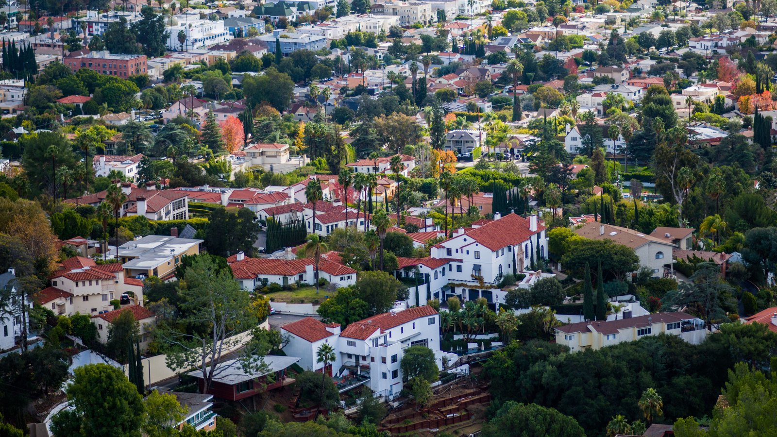 An elevated view of homes and trees in a Los Angeles residential neighborhood.