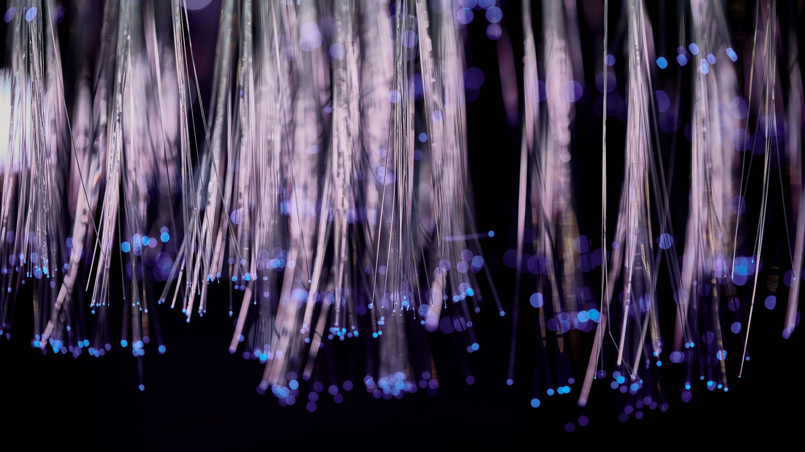 A photograph illustrating fiber optic strands blue macro.