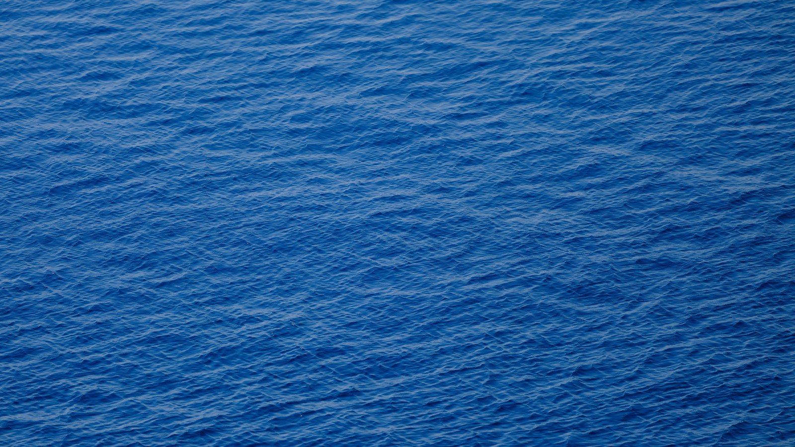 The surface of deep blue open water seen from above, broken into small wind ripples across the whole frame, with no horizon, shoreline, people or text in view.