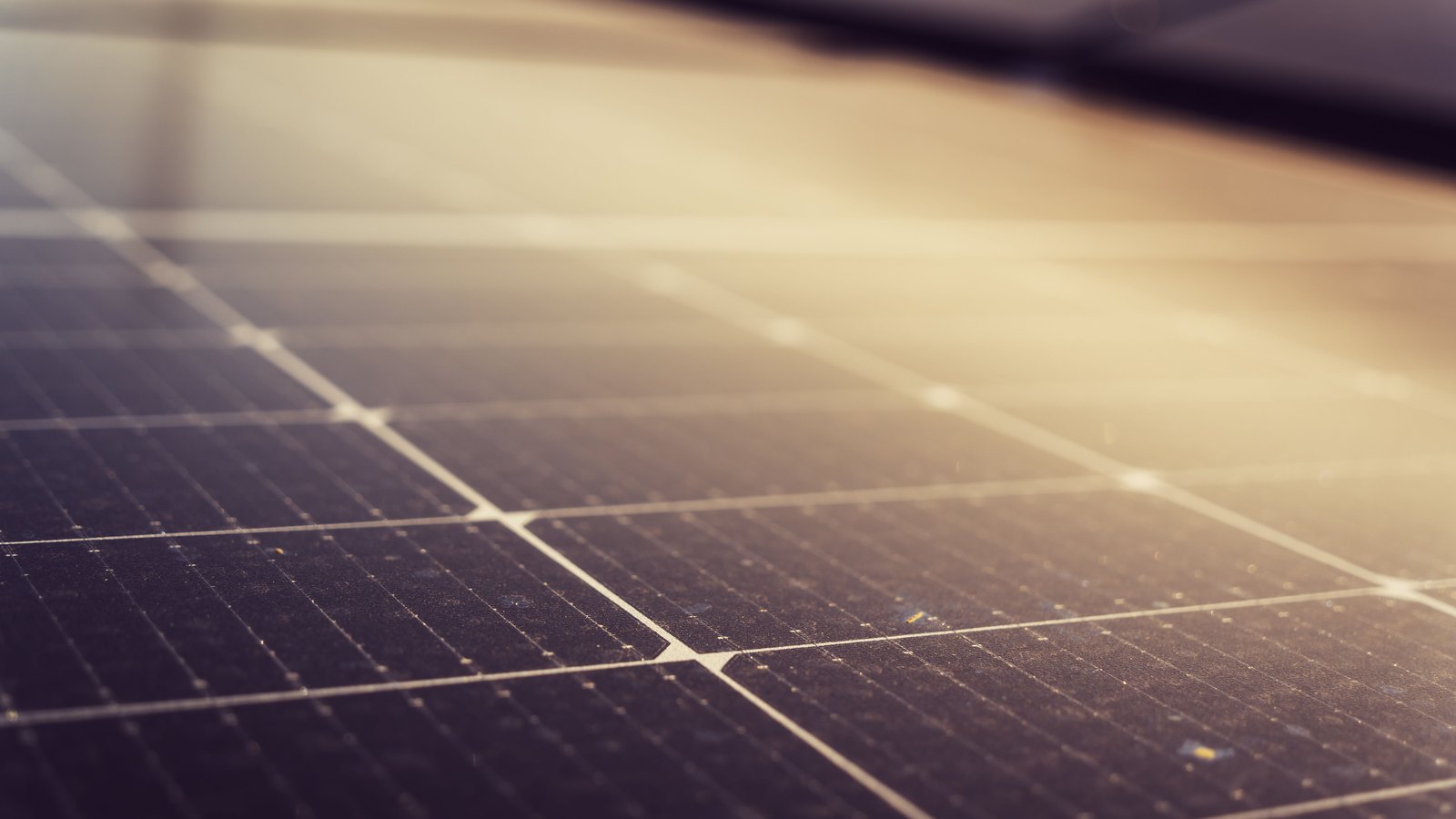 A close view along the surface of a solar panel at a raking angle, dark rectangular cells laid out in a grid and divided by thin pale busbar lines, with warm sunlight glaring across the upper part of the frame and specks of dust visible on the glass. No people, signage or text are in view. A generic illustration, not a photograph of the Naples Airport array.