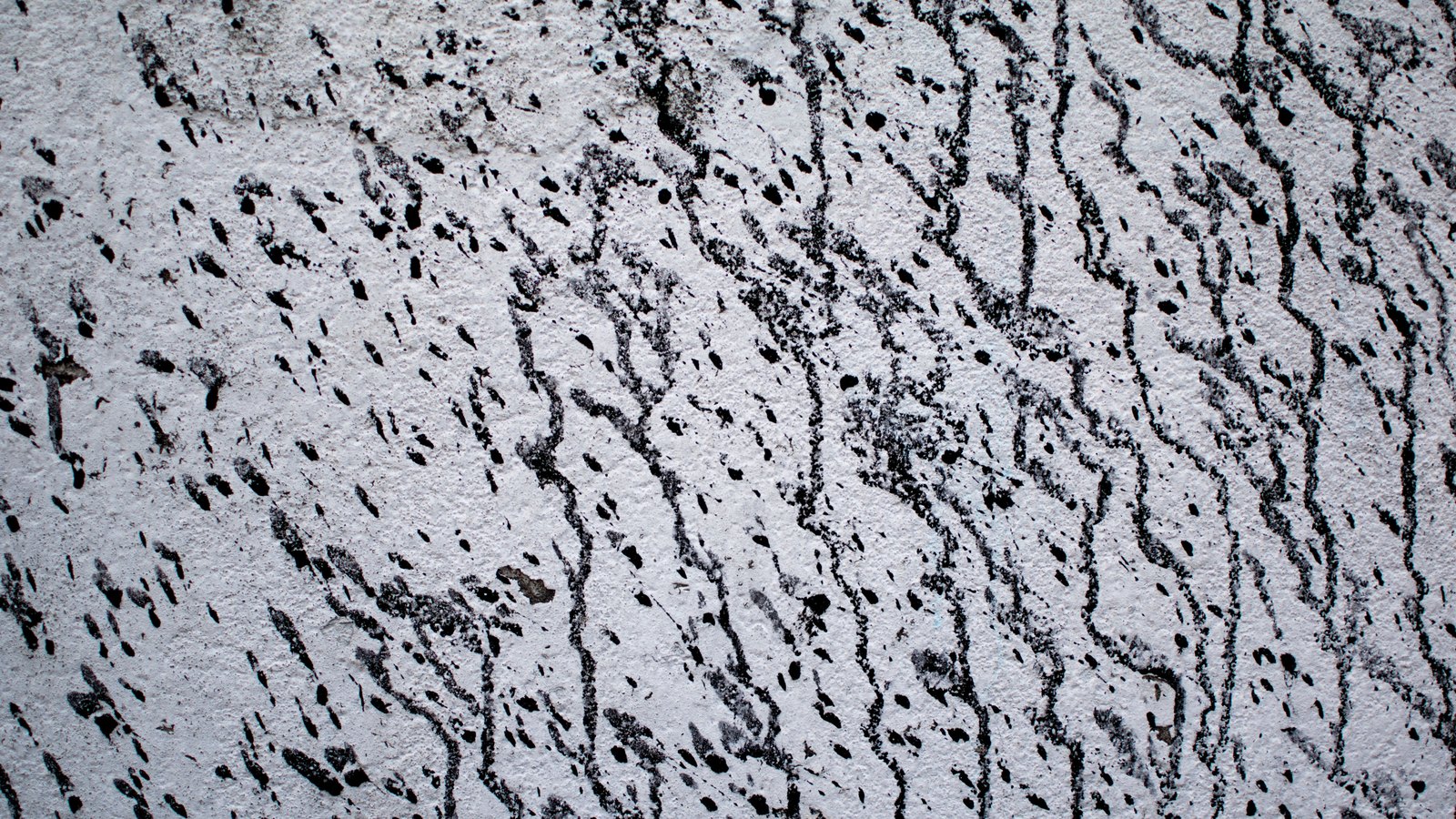 An abstract close crop of a rough off white surface streaked with dark trailing marks running down it, mottled and speckled across the whole frame. It carries no text, no signage, no logo, no person and nothing that identifies a place. It is a weathered wall photographed close up, not a photograph of the store in this story and not a photograph of the marks described in it.