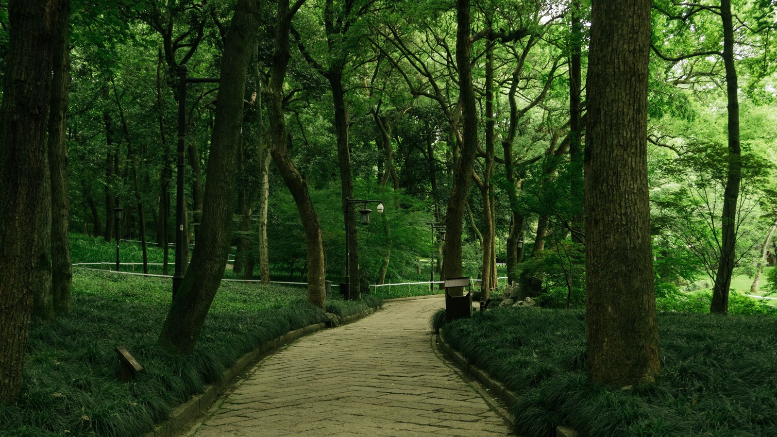 An empty stone paved path curving away through dense green woodland in a landscaped park, edged with low grass borders, a rail fence, ornamental lamp standards and a small board turned away from the camera carrying no readable text. Nobody is on the path and no animal is in the frame. There is no signage, no lettering, no brand mark and no landmark that identifies any place. A generic illustration of a visitor attraction standing empty, not a photograph of Naples Zoo, of its grounds or of its entrance. Its weakness is stated rather than glossed: the trees and planting are temperate parkland rather than anything that grows in Southwest Florida, and an empty path illustrates the idea of a closure rather than showing this one.