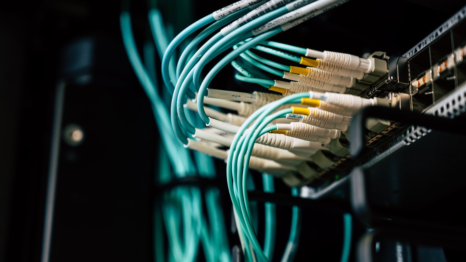 A photograph illustrating server rack cabling.