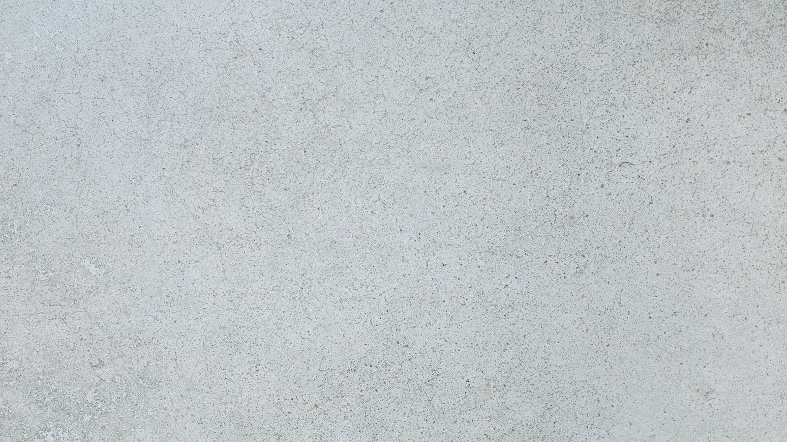 A close photograph of a pale grey cement surface filling the frame, the fine aggregate showing as darker flecks throughout and faint hairline crazing crossing the upper left, with no marking or lettering anywhere on it.