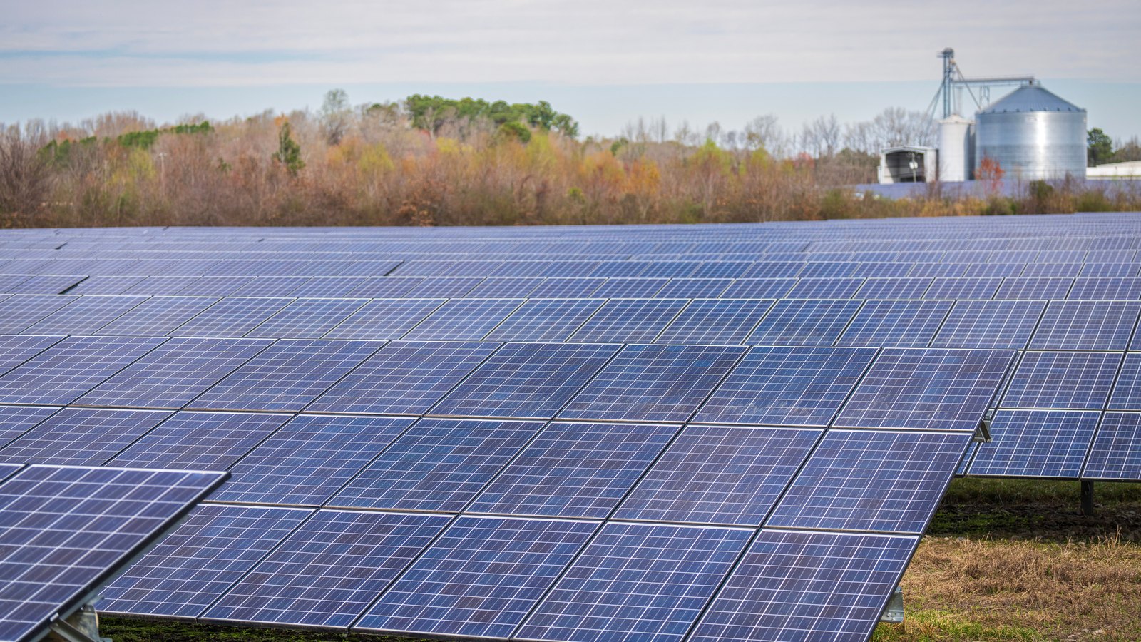 A photograph illustrating solar panel rows.