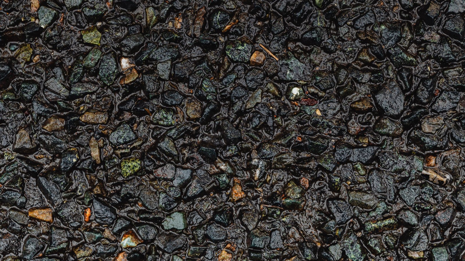 A wet exposed aggregate road surface filling the frame, dark grey and green stones bound in black asphalt with rainwater standing between them.