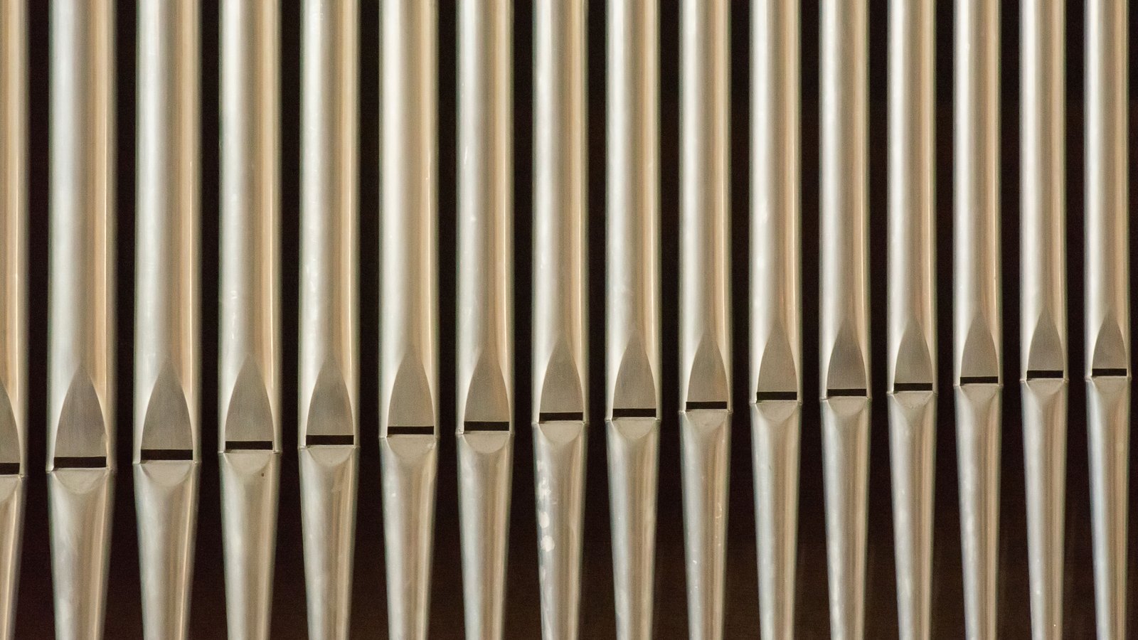 A close photograph of a rank of silver organ pipes seen straight on and filling the frame, more than twenty polished metal tubes standing side by side in a row against a dark background, each tapering to a narrow foot with a small mouth cut across it at the same height as its neighbours.