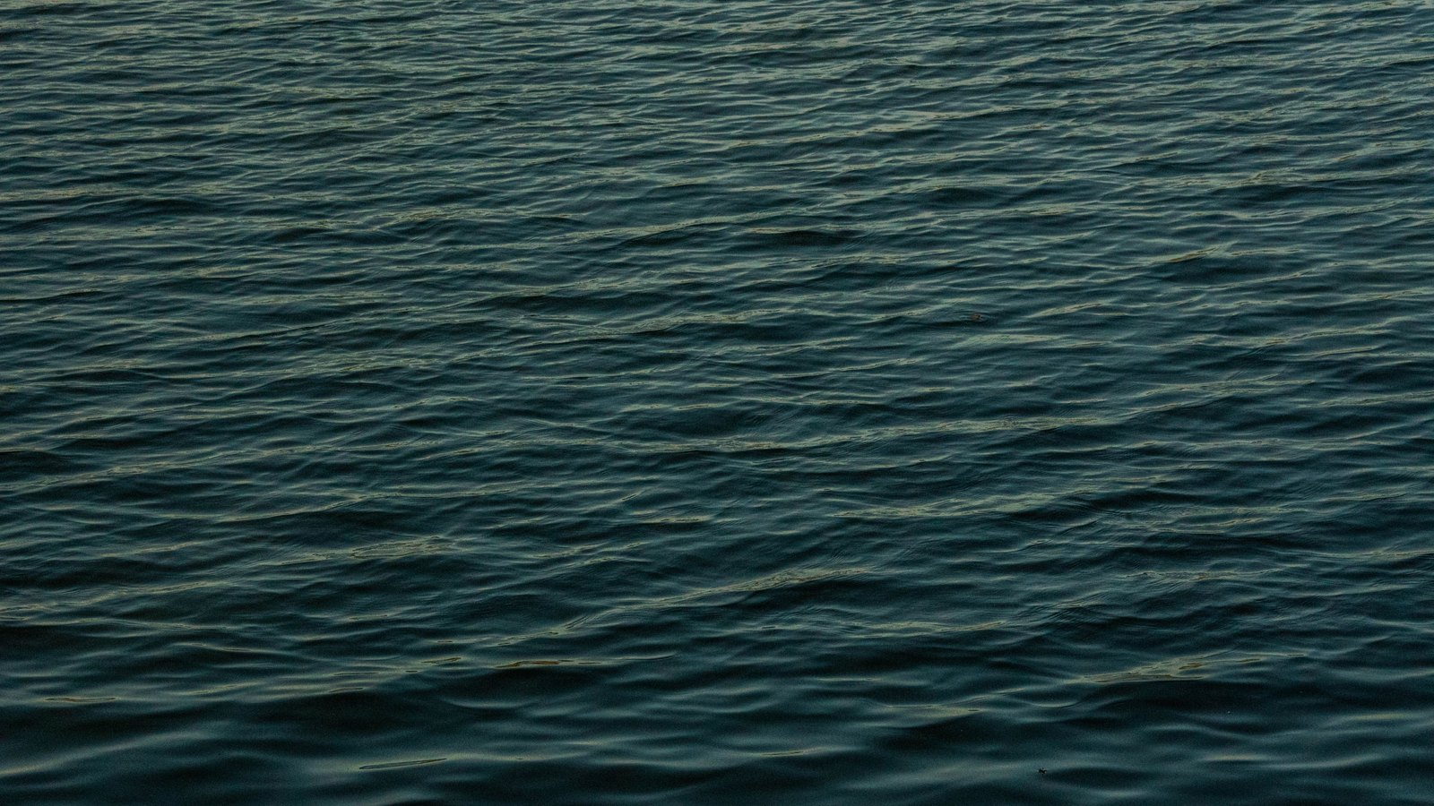 Open water filling the whole frame in dark blue green, ruffled into low even ripples that catch a little pale light, with no horizon, shoreline, vessel, person or lettering in the picture.