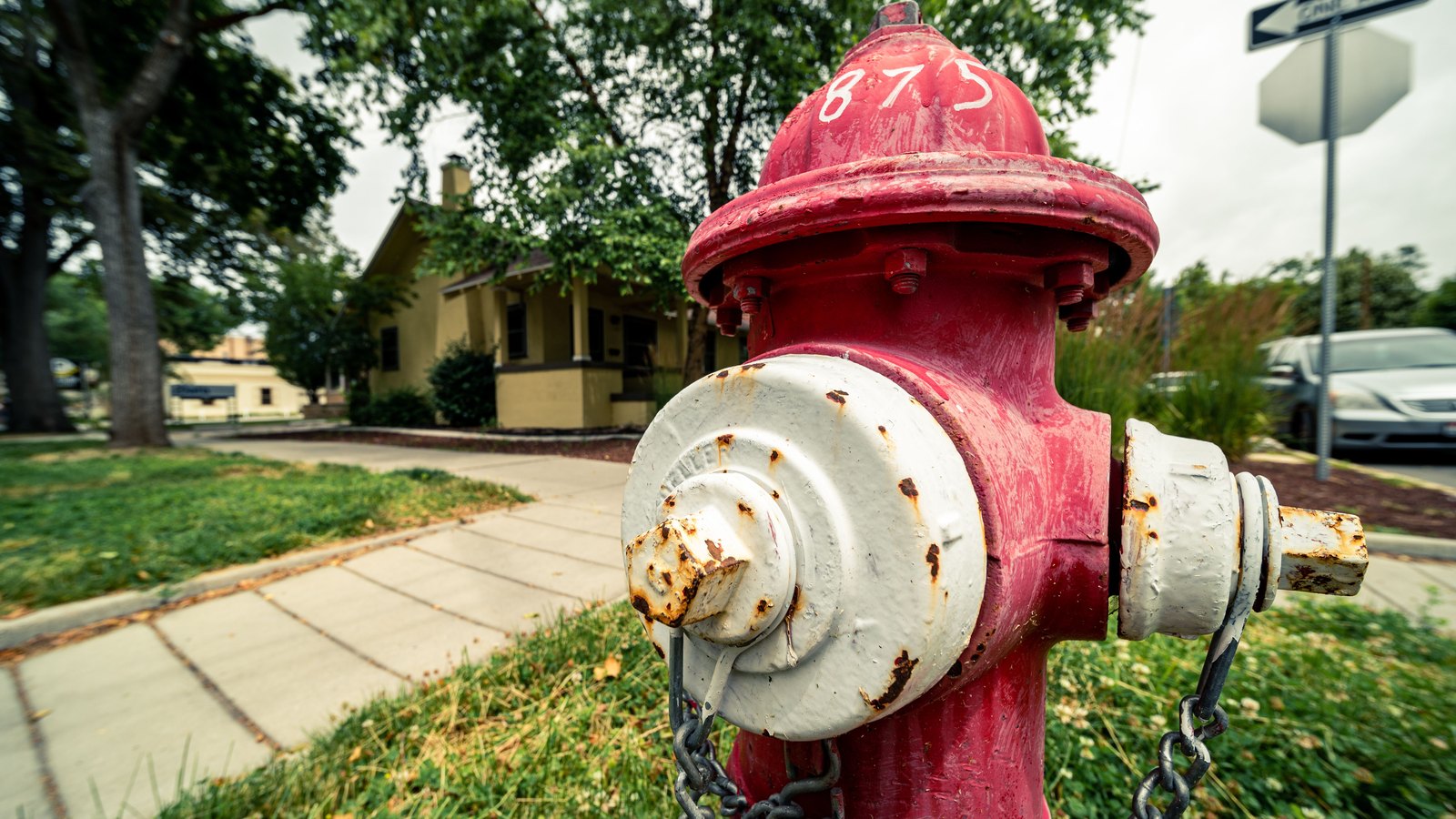 A red municipal fire hydrant on a residential street in front of a single-family home.