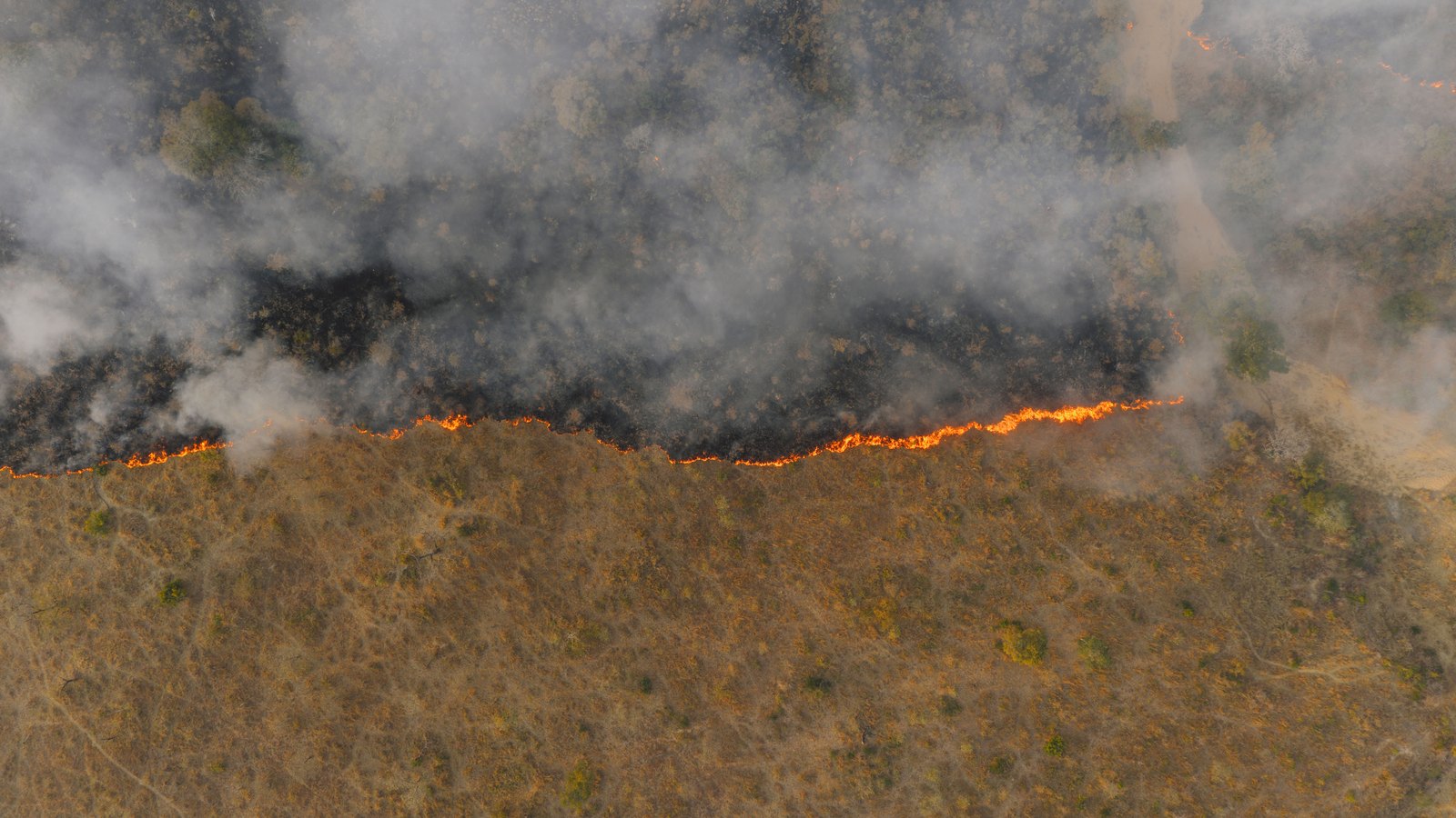 An aerial view of a grass fire burning through a dry tawny field, with a thin orange flame line creeping along the middle of the frame and a wide blackened, already-burned area and drifting smoke behind it. No people, vehicles, buildings, signage or landmarks appear in the frame. It illustrates the kind of fire crews work in open grass and is not a photograph of this event.