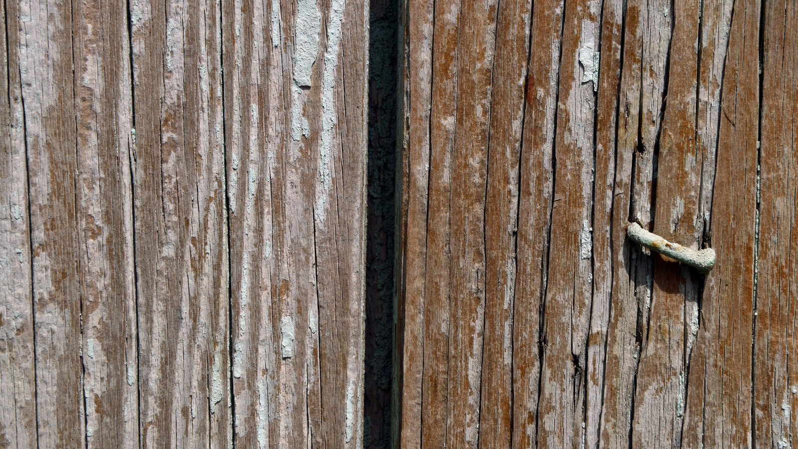 A close crop of weathered vertical fence boards with flaking pale green paint and a narrow dark gap between two of them, with no text, people or buildings in view.