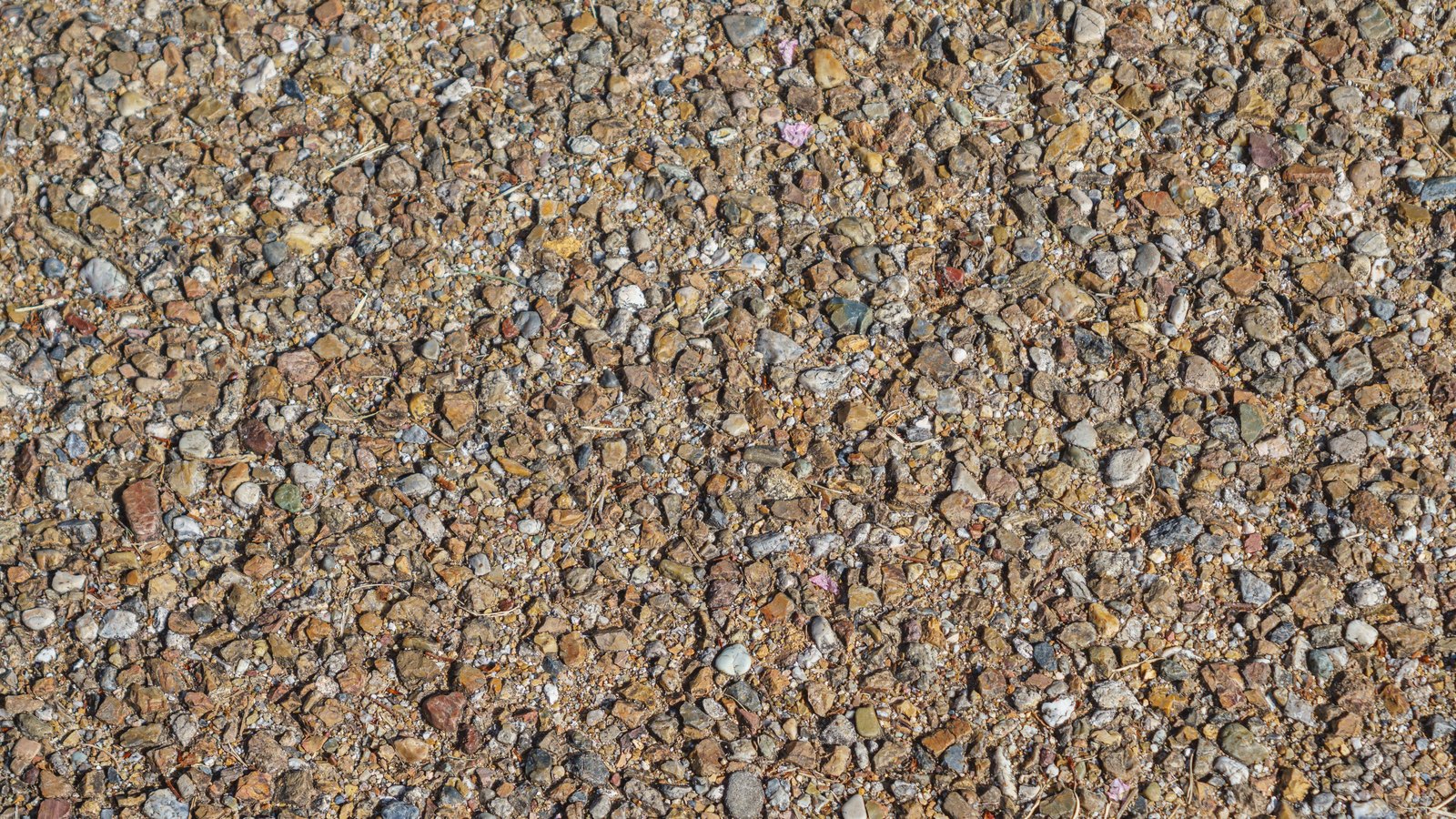 A close photograph taken looking straight down at a compacted ground surface packed edge to edge with small stones. The chips run from pale cream and grey through rust brown to ochre, wedged tight against one another with fine grit and a few dry stems caught between them, and the pattern continues past every edge of the frame. No object, text, brand mark, person or place is in view.