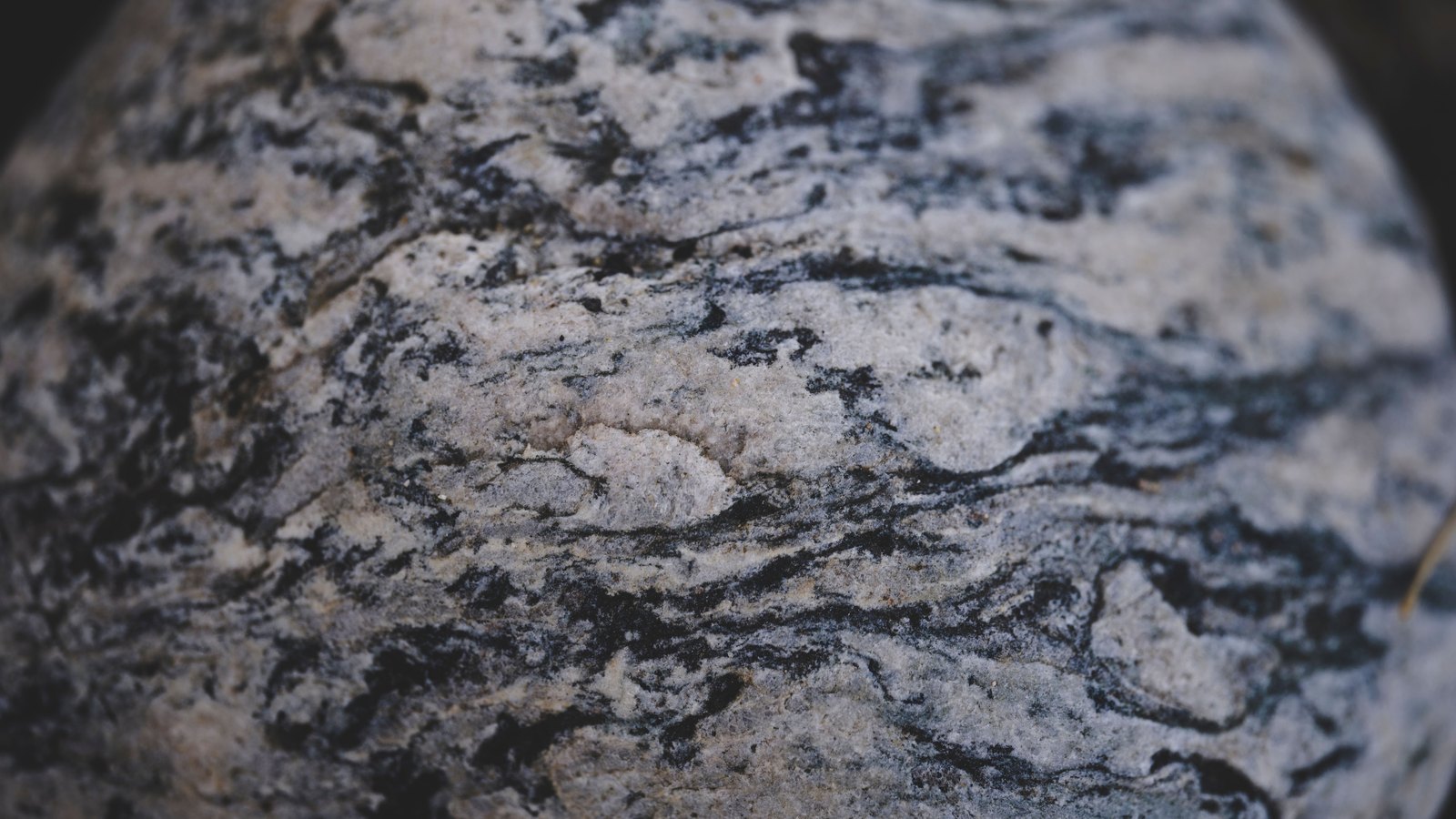 A close photograph of a rounded stone surface, pale grey grains threaded through with dark banding that curves across the whole frame, the edges falling away into shadow. No object, person, lettering or brand mark is visible.