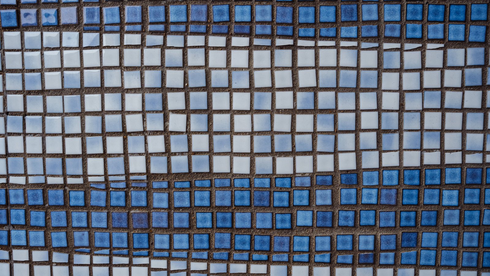 A close photograph of a wall of small square ceramic mosaic tiles, each about a centimetre across and set in dark grout, glazed in bands of white, pale blue and deeper blue that shift gradually across the frame, with no lettering or pattern motif anywhere.