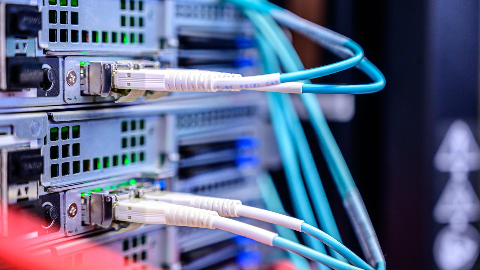 White and blue fibre optic patch cables plugged into the ports of servers mounted in a rack.