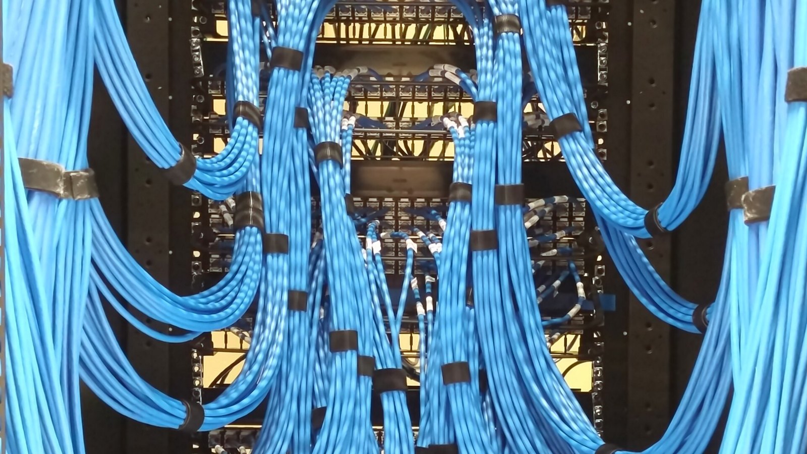 Bundles of blue network cables feed into rows of patch panels in a server rack.