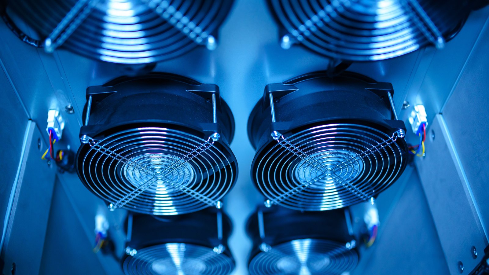 Four black cooling fans mounted inside a blue lit computer enclosure.