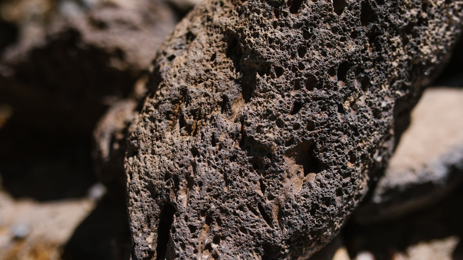 A close photograph of a porous volcanic rock filling most of the frame, its brown and grey surface pitted with hundreds of small holes and lit by hard daylight, with further rock out of focus behind it. No person, structure, lettering or brand mark is visible.