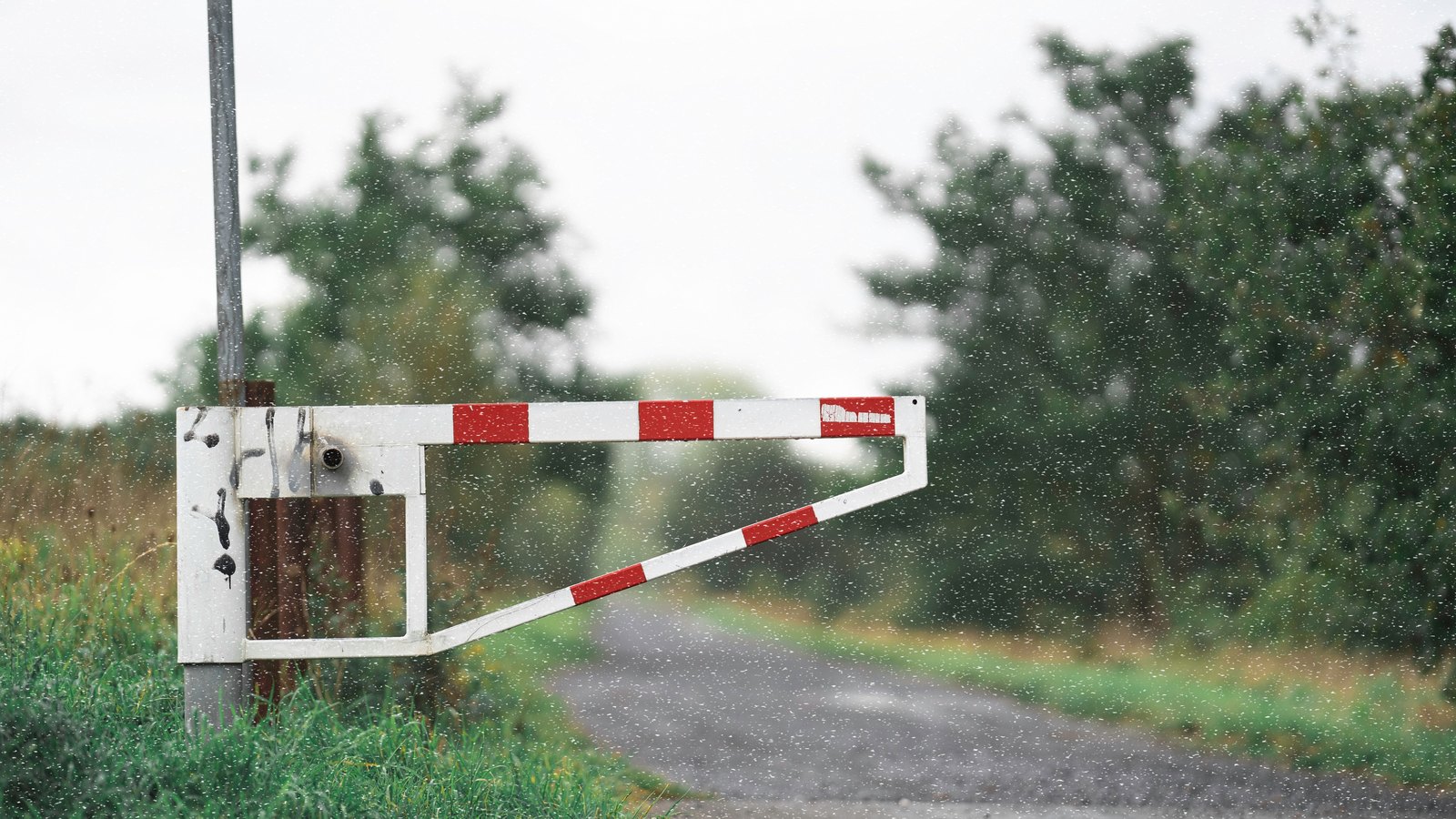 A red and white painted metal barrier arm swung open beside a narrow rural lane, with long grass and low green trees on both sides and rain specks across the frame. No person, vehicle, number plate, unit number, agency marking, signage or legible text of any kind appears anywhere in the frame. Stock photograph, not a photograph of this event.
