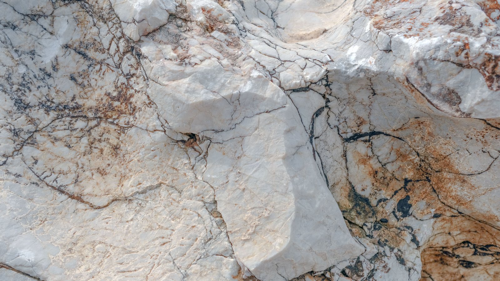 A photograph illustrating limestone rock texture.
