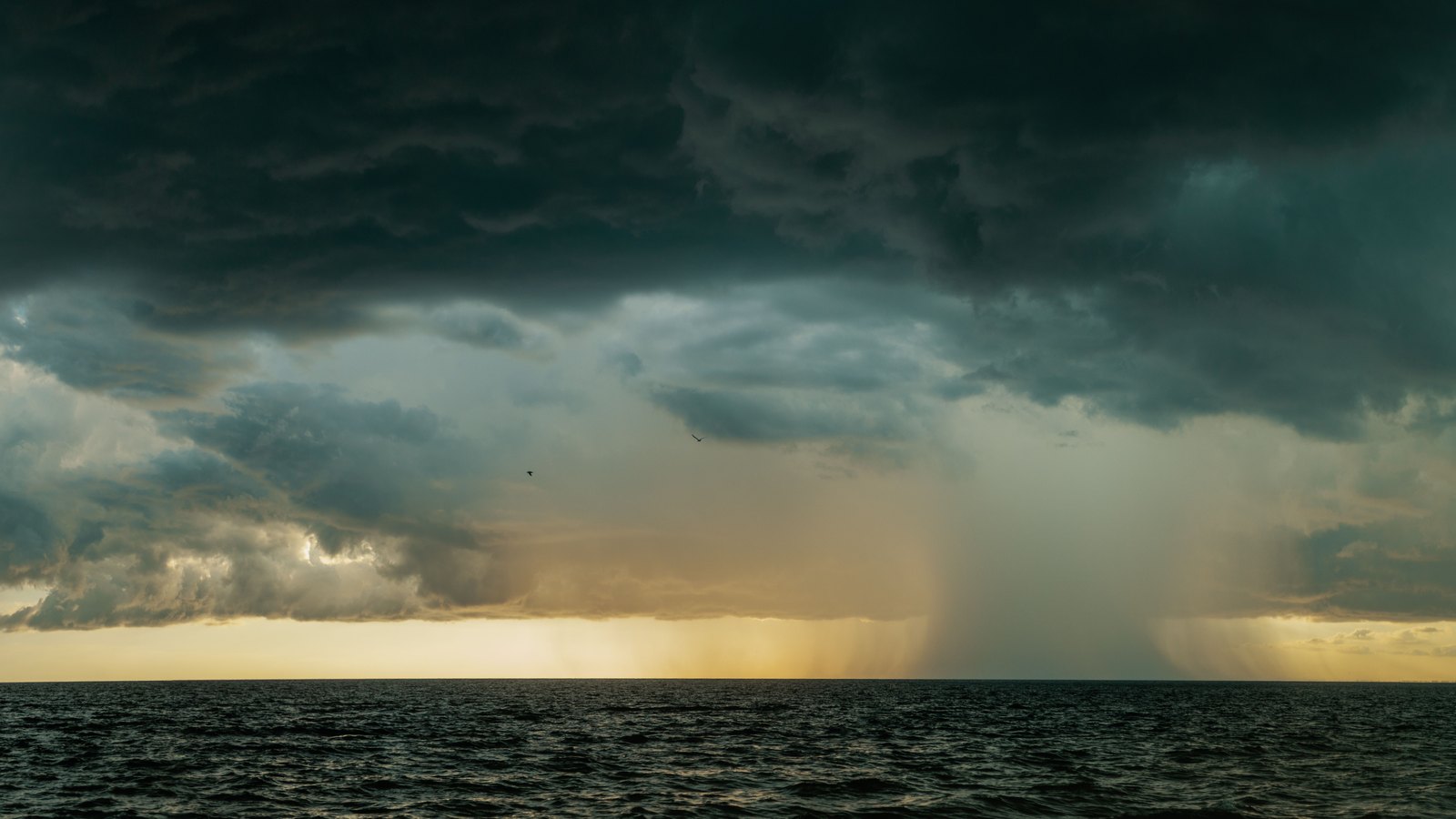 A wide, low view across dark open water to a flat horizon, under a heavy charcoal deck of storm cloud, with two grey shafts of rain falling from the cloud base to the sea and a thin band of yellow light along the horizon behind them. No land, no vessel, no person, no structure, no signage and no legible text appears anywhere in the frame, and nothing in it identifies a place. A generic illustration of a rain-bearing disturbance over open water, not a photograph of this event.