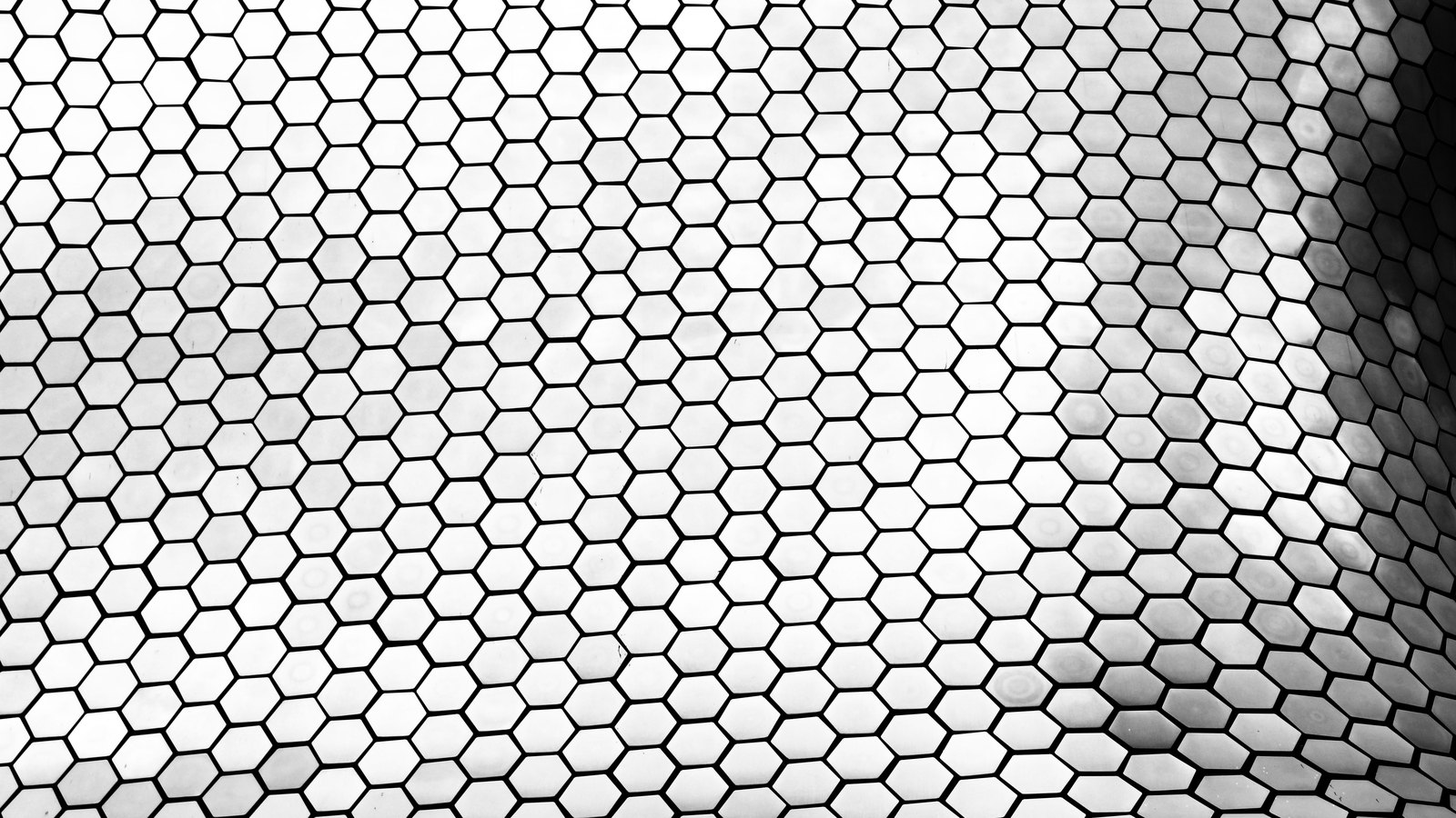 A monochrome close photograph of a flat surface tiled edge to edge with small pale hexagons, each separated by a thin dark line, the grid filling the whole frame and falling away into shadow at the right edge. No text, brand mark, person, place or horizon is in view.