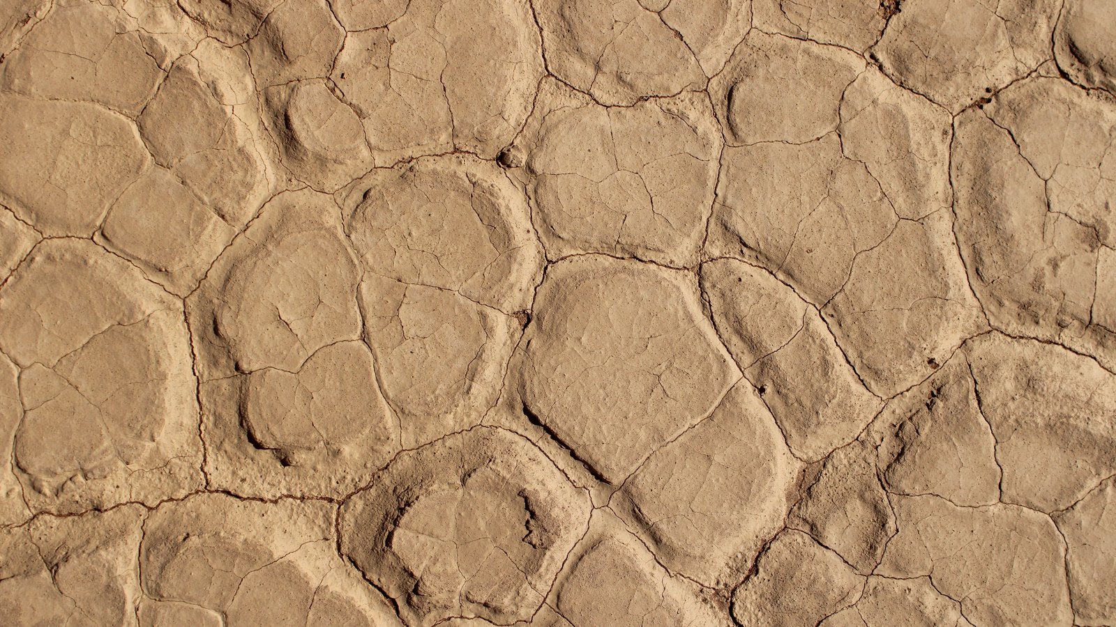 A close photograph of dried mud filling the whole frame, tan and ochre plates with rounded edges divided by a network of darker cracks. No text, brand mark, person, horizon or identifiable place is in view.