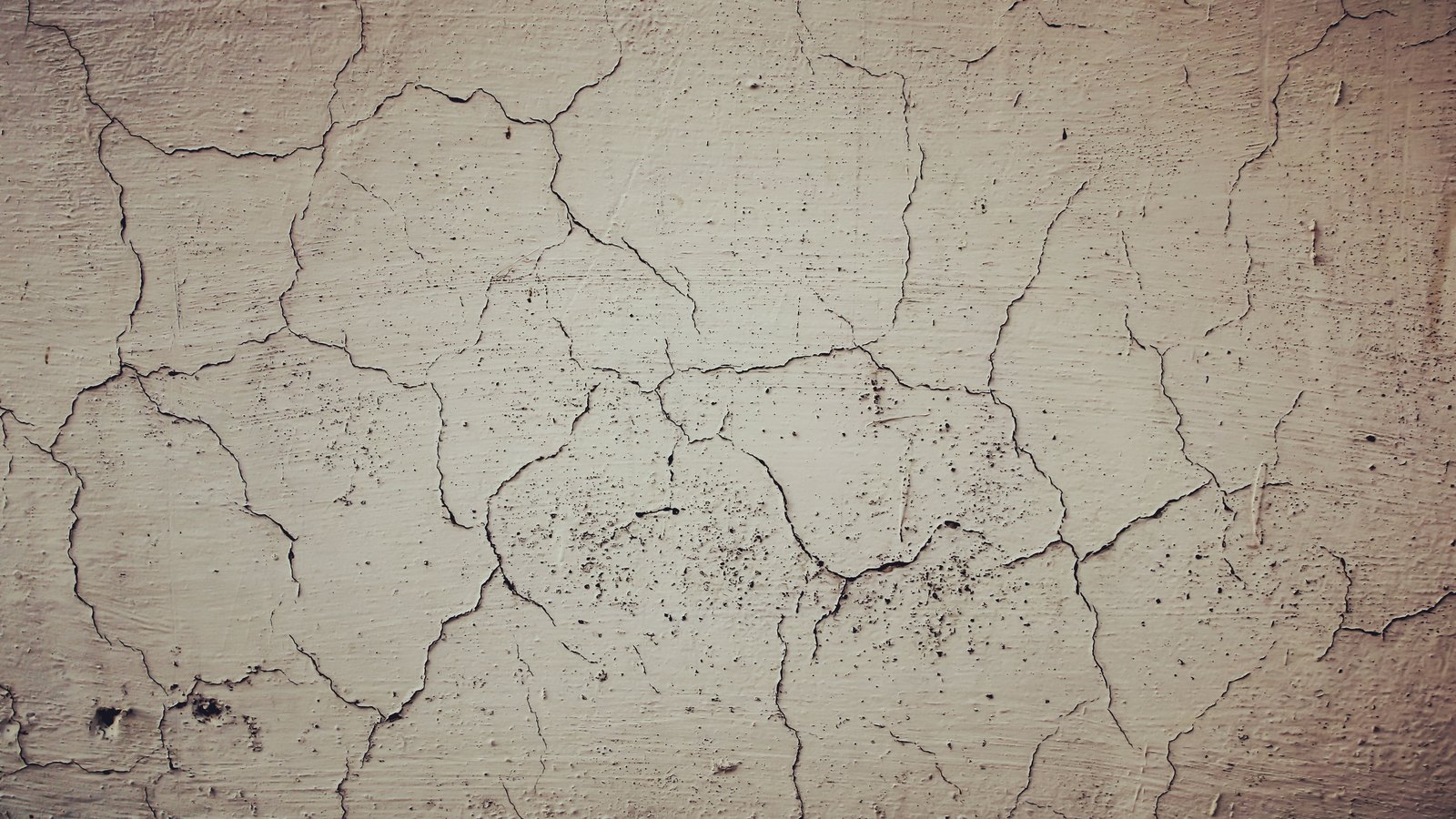 A full-frame close photograph of a pale beige rendered wall, its surface broken by a network of dark cracks running in irregular plates across the plaster, with small pits and flaked patches in the coating.
