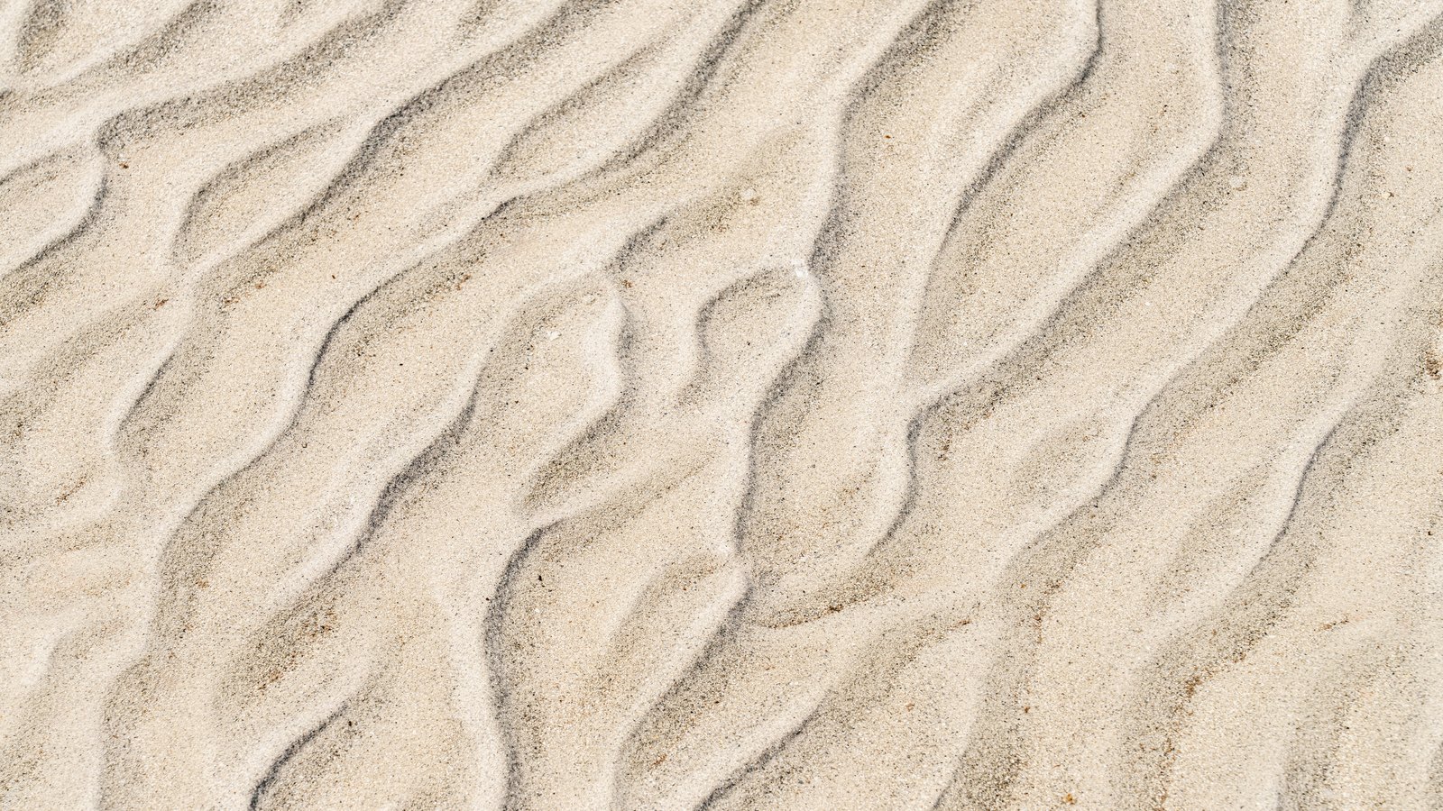 An overhead crop of pale sand ripples, the crests running in wavy parallel bands from lower left to upper right with grey grains gathered in the troughs. No text, brand mark, person, place, horizon or sky is in the frame.