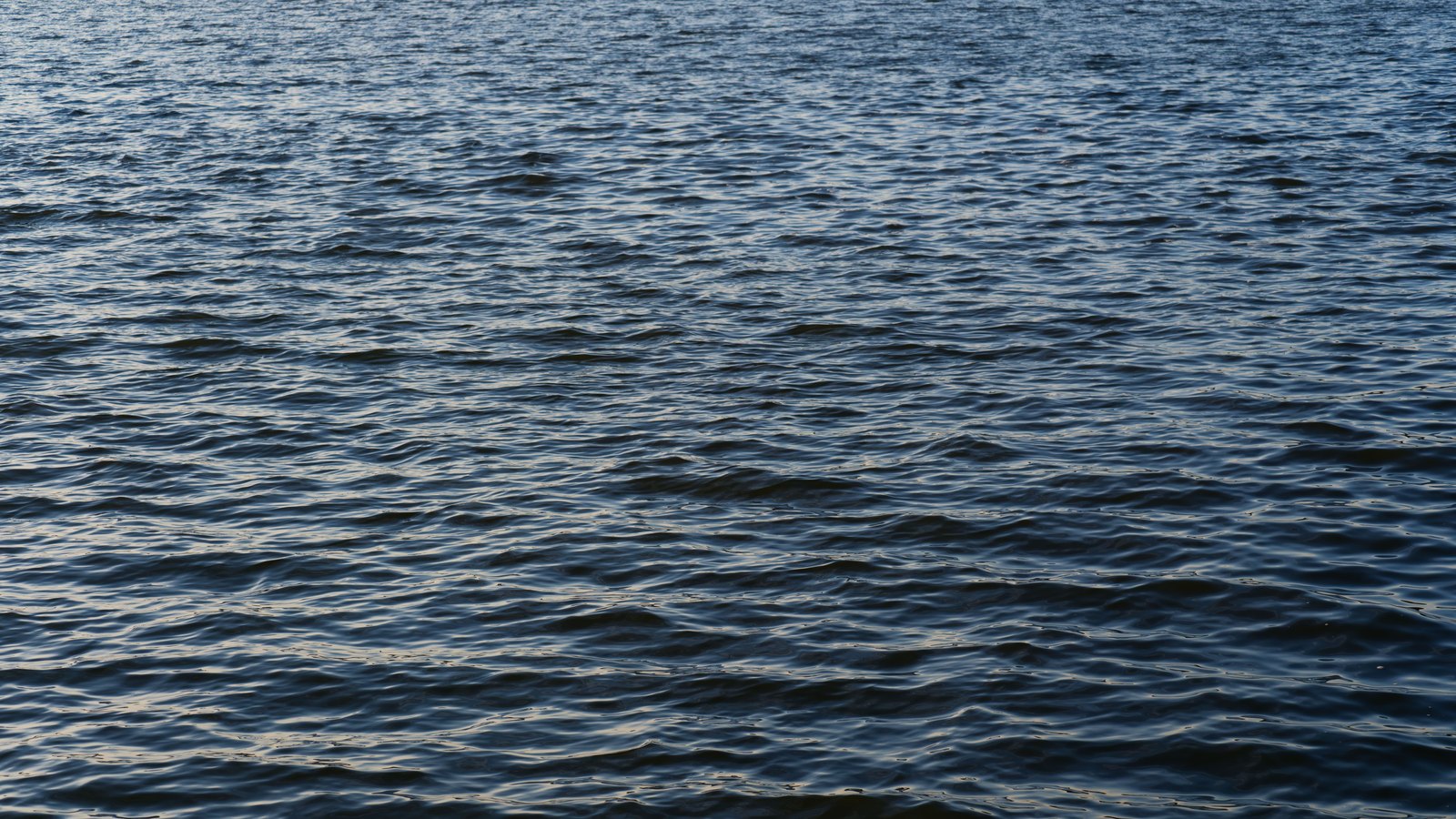 A close photograph of open water filling the whole frame, with wind ripples running in fine parallel lines across a dark blue and grey surface and pale highlights catching the tops of the small waves. The water falls gently out of focus toward the top edge. There is no horizon, no shoreline, no vessel, no person and no text in the frame. A generic water close-up, not a photograph of the Brownsville Ship Channel or of any Rio Grande LNG facility.