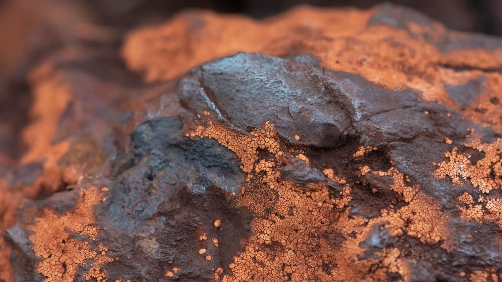 A close macro of a rough ore specimen, its dark blue-grey metallic faces crusted with granular copper-orange mineral deposits, warmly lit at shallow depth of field, with no text, people or setting in view.