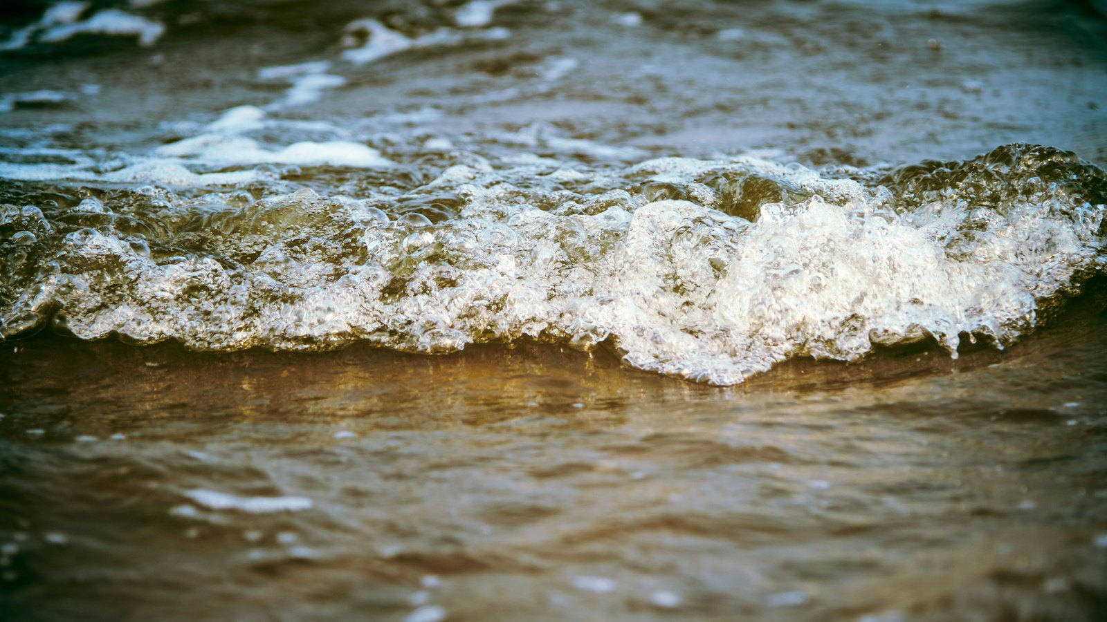 A low close crop of a small wave breaking into white foam as it runs up a shallow shoreline, the water lit gold and brown, with no people, buildings or text in view.
