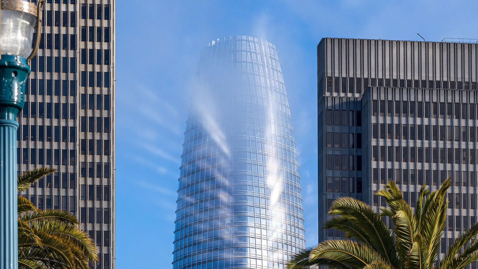 The tapering glass top of Salesforce Tower in San Francisco with a wisp of fog trailing across its facade, framed by two older office towers, a green street lamp at left and palm fronds at the bottom.