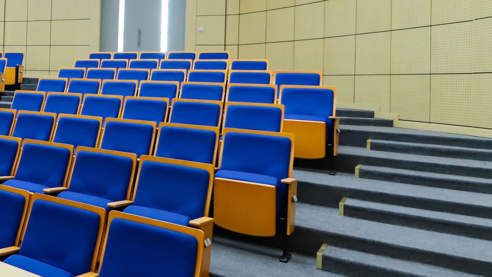 Rows of empty blue and pale wooden fold-down seats rising beside carpeted steps in a lecture hall with perforated wooden wall panels.