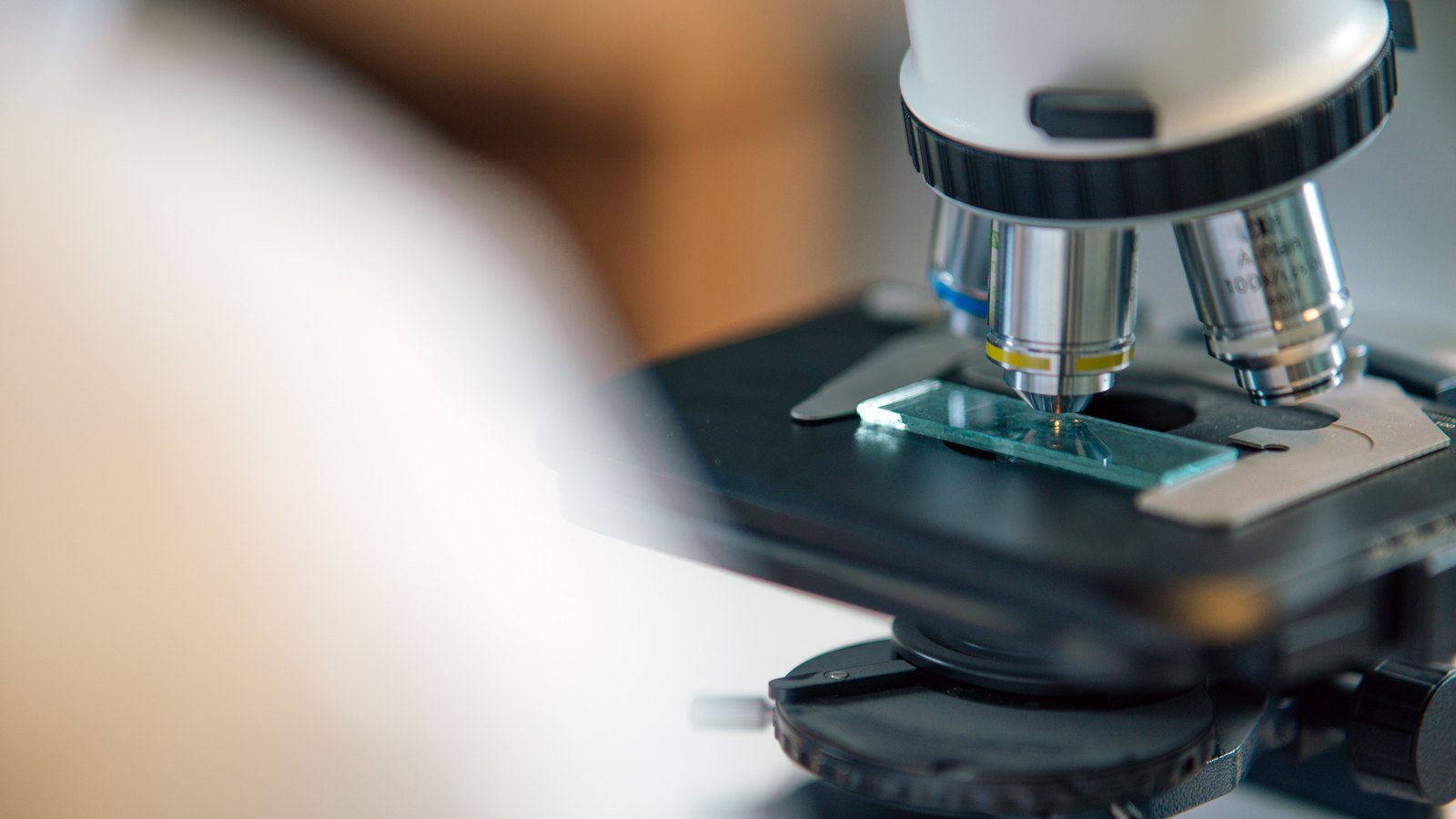 A microscope focuses on a glass specimen slide during laboratory analysis, not a photograph of the Sanibel rust tide bloom.