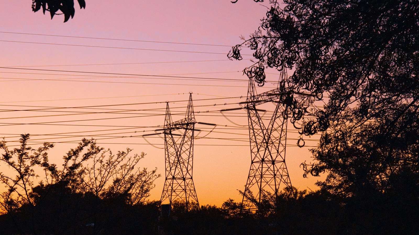 Two steel electricity transmission towers in silhouette against a pink and orange dusk sky, power lines and insulator strings running across the frame with dark tree branches at the edges.