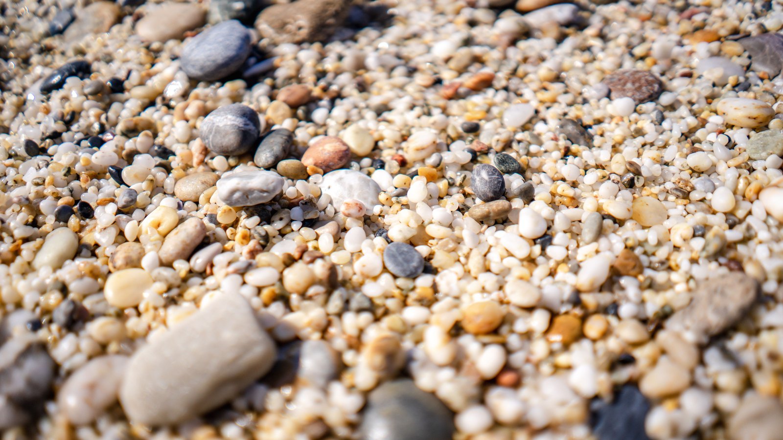 A close photograph of thousands of small water worn pebbles packed tightly together, mostly cream and pale grey with a scattering of darker and rust coloured stones and a few larger flat ones, filling the frame from edge to edge in bright daylight.