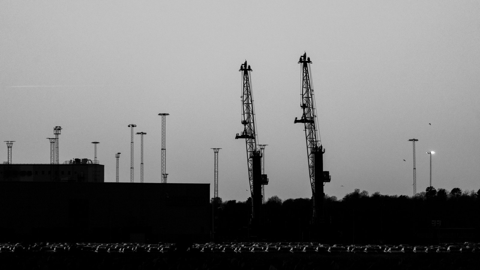 Two cargo cranes stand in silhouette above an industrial port beneath a pale evening sky.