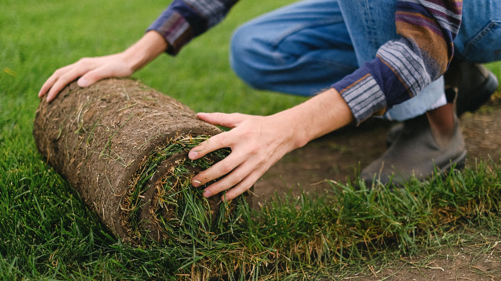A close view of a roll of turf being unrolled onto bare soil beside cut grass. Two hands and forearms in a striped shirt and jeans press the roll flat, with a boot behind them. No face is in the frame.
